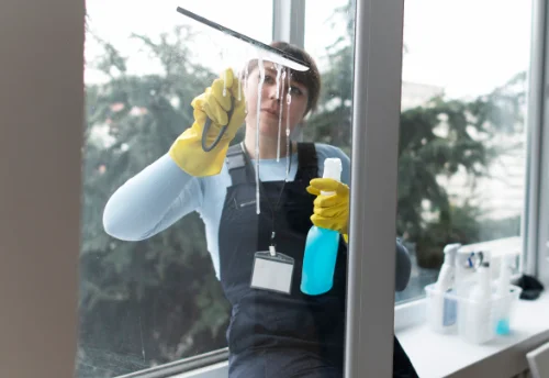 Nettoyage de vitres intérieures et extérieures à Lacépède